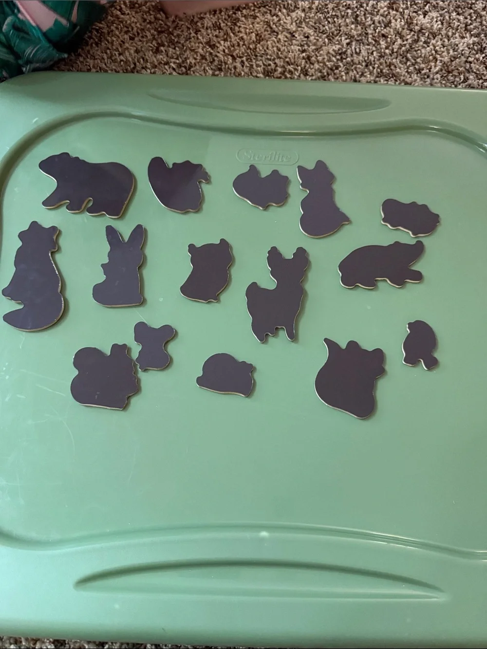 Wooden Wildlife Magnets